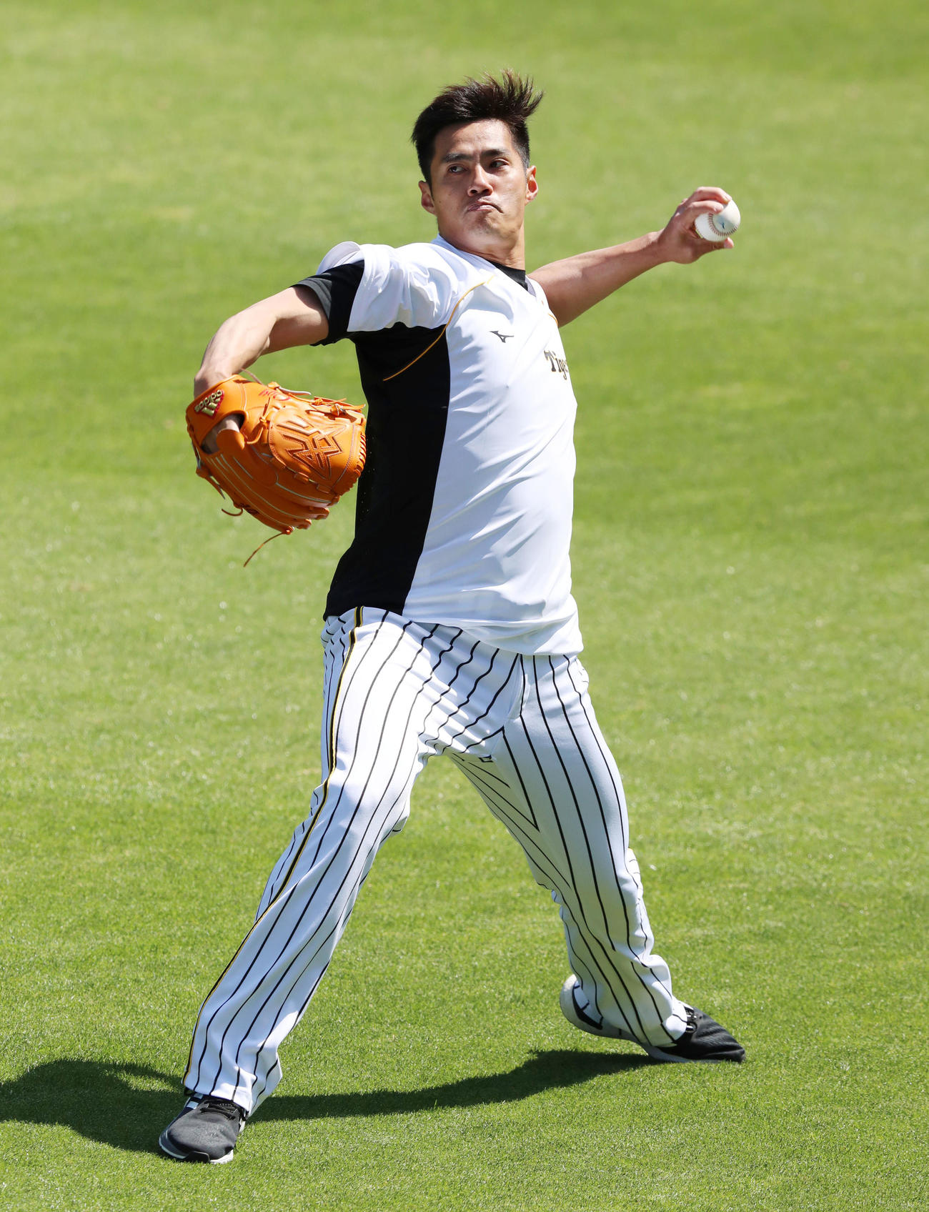 甲子園でキャッチボールするチェン（撮影・加藤哉）