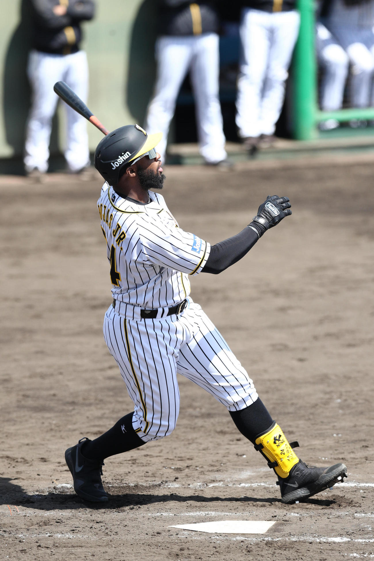 ウエスタン・リーグ阪神対オリックス　2回、犠飛を放つ阪神ロハス（代表撮影）