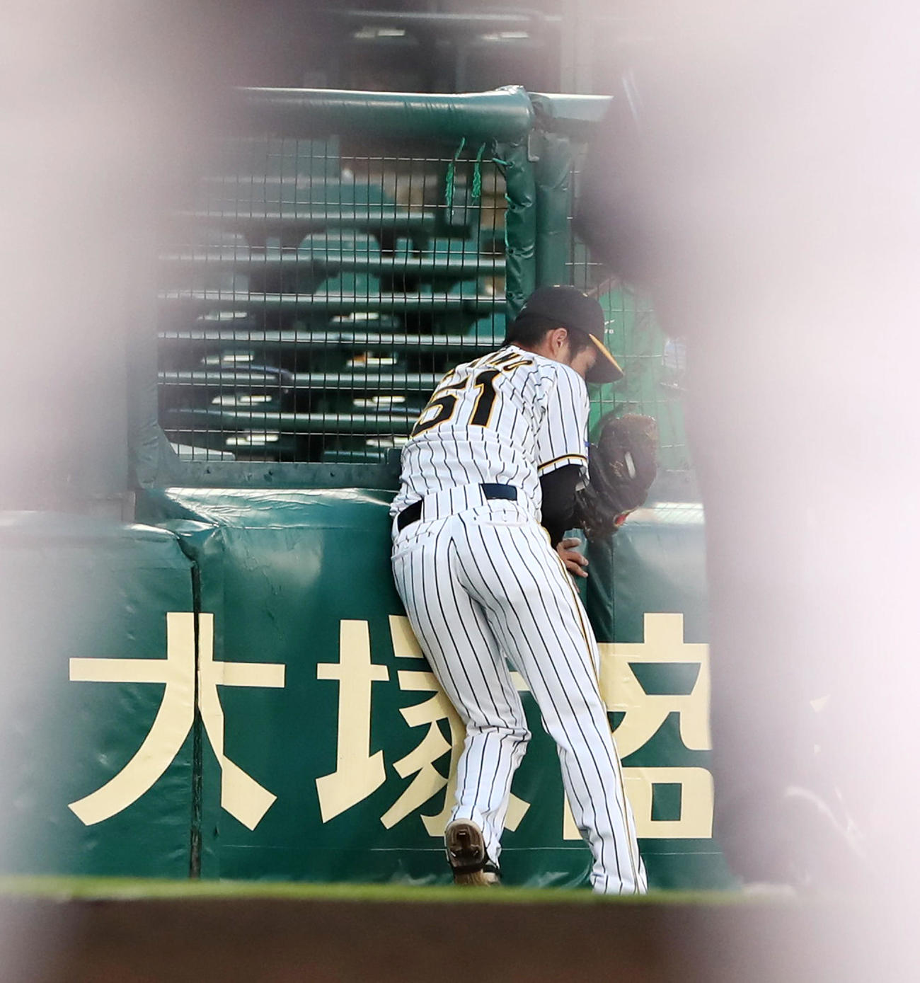 阪神対広島　2回表広島無死、中野は松山の遊邪飛をフェンスに身体を当てながら捕球する（撮影・加藤哉）