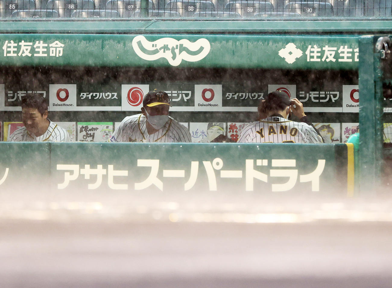 3回表を終えたところで雨脚が強くなり試合が中断、ベンチで再開を待つ矢野監督（右）（撮影・清水貴仁）