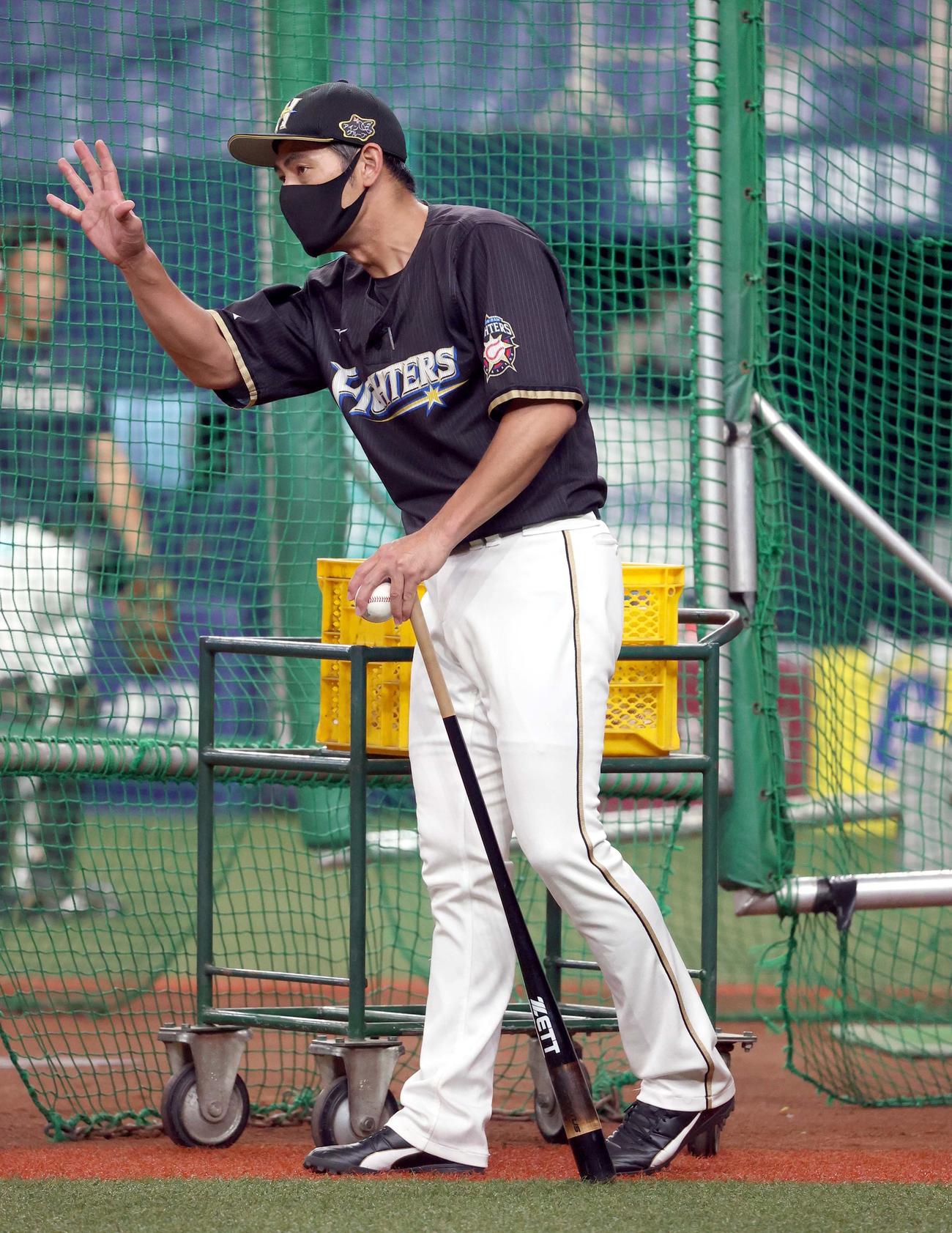 試合前、ノックを打つ日本ハム飯山内野守備コーチ（2020年9月25日）