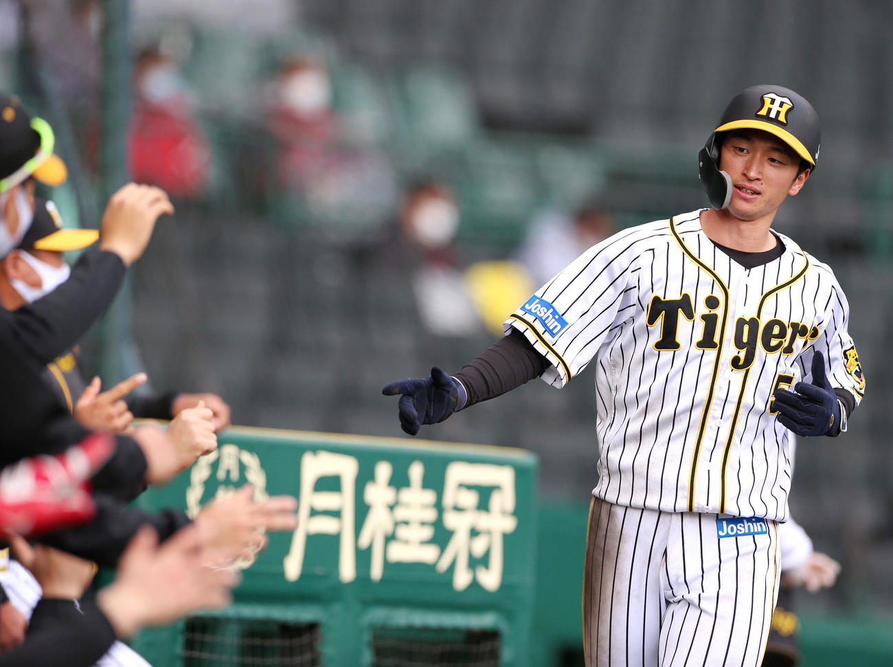 阪神対広島　3回裏阪神1死二塁、二走近本（右）はマルテの中前適時打で生還し、ベンチの出迎えを受ける（撮影・上山淳一）