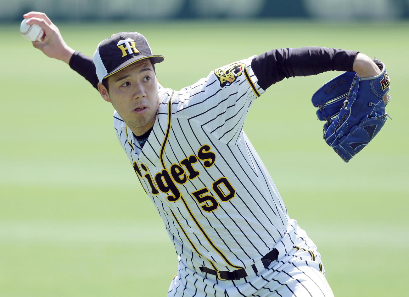 キャッチボールで調整する阪神青柳（撮影・前田充）