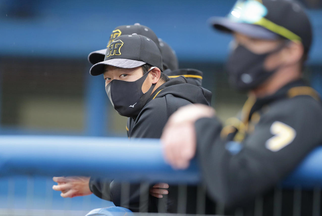 ヤクルト対阪神　9回裏、ベンチから試合を見つめる大山（撮影・前田充）