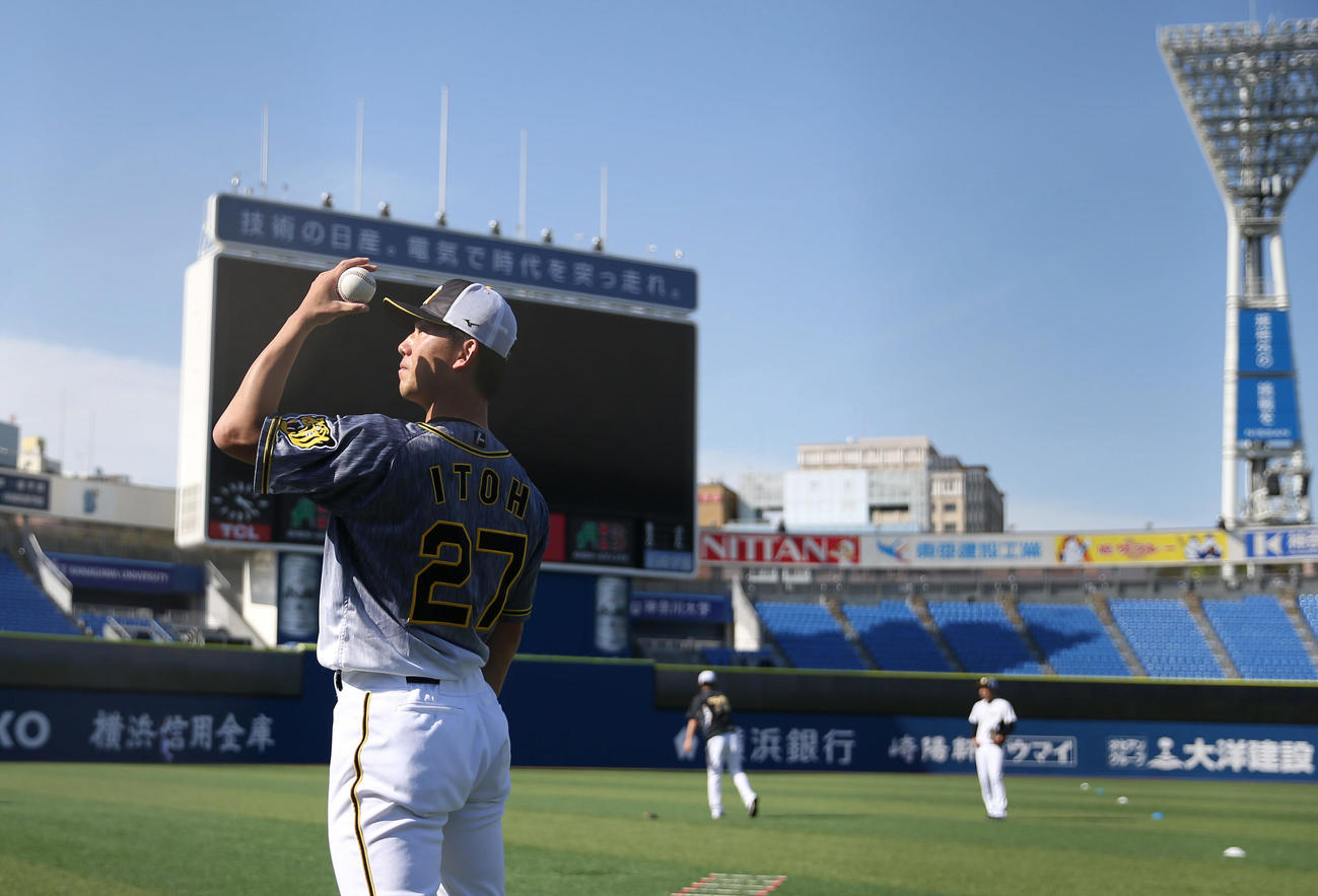 横浜スタジアムでキャッチボールで調整する阪神伊藤将司（撮影・前田充）