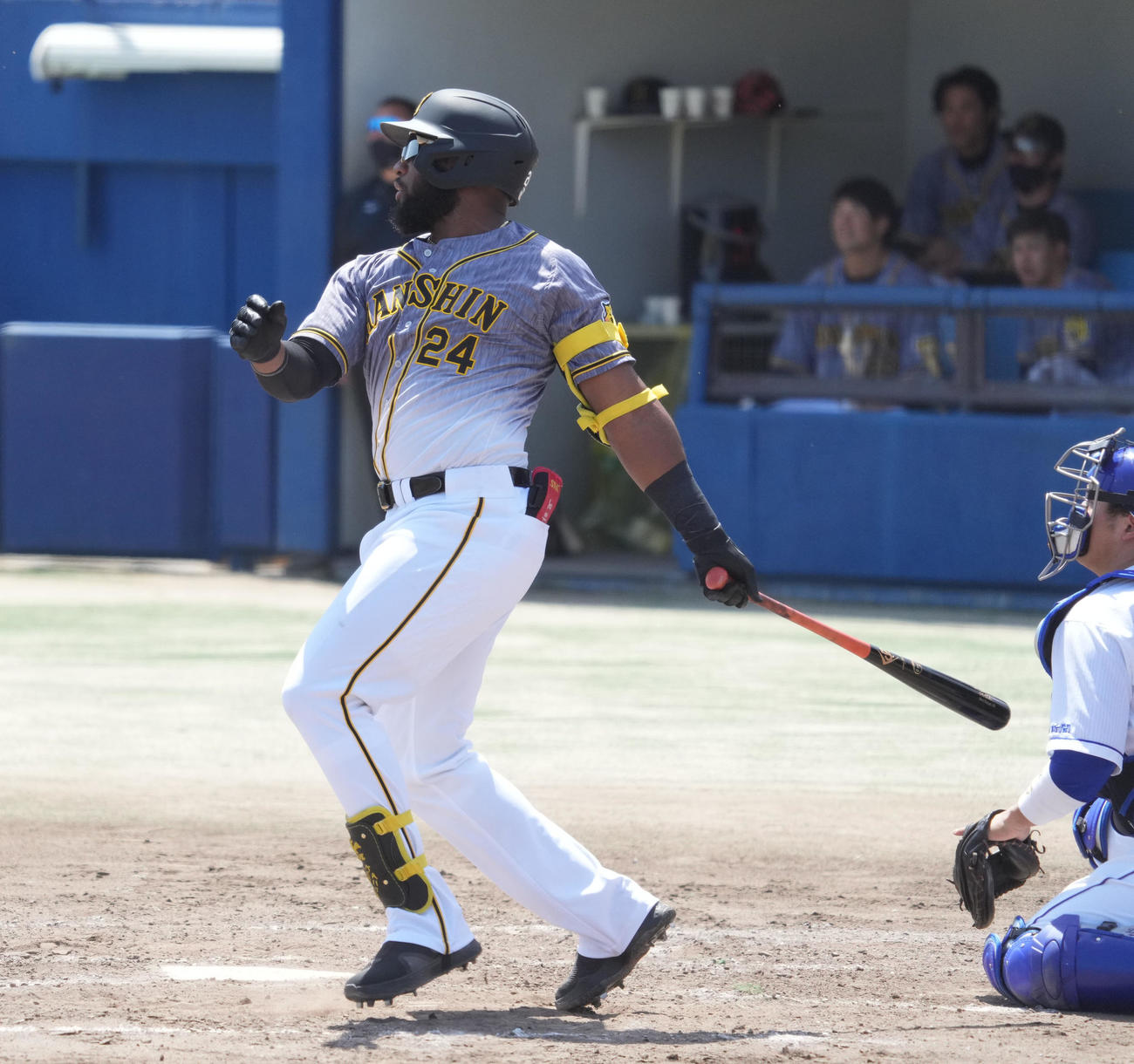 ウエスタン・リーグ中日対阪神　4回表阪神1死、右飛に倒れた阪神、メル・ロハス・ジュニア（撮影・森本幸一）