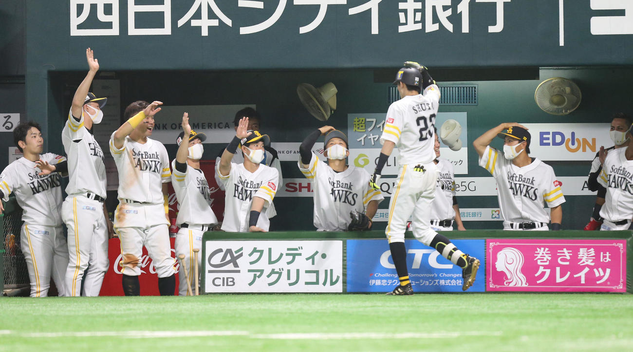 ソフトバンク対西武　3回裏ソフトバンク無死、右越え本塁打を放った周東を迎えるソフトバンクナイン（撮影・屋方直哉）