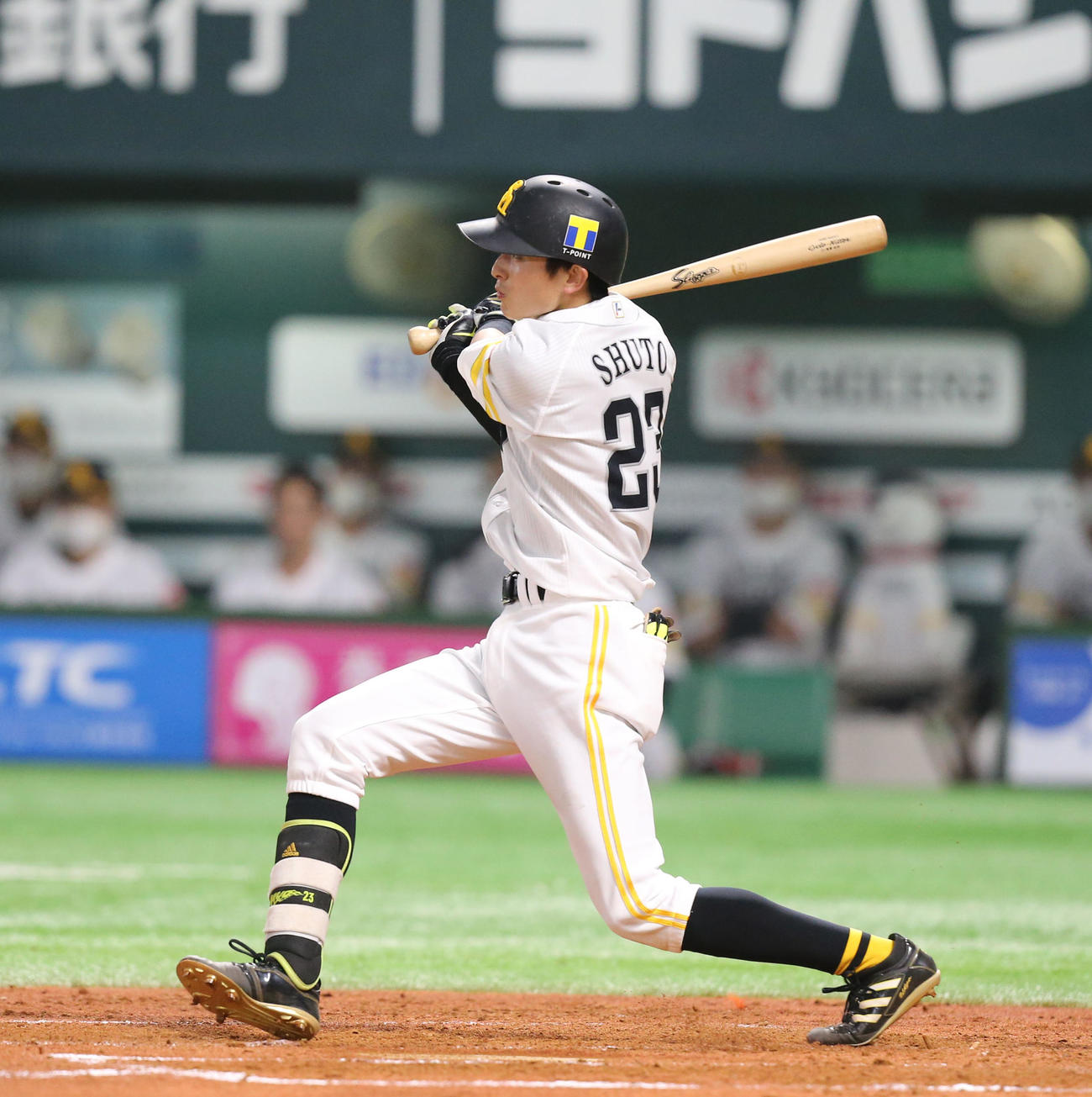 ソフトバンク対西武　3回裏ソフトバンク無死、周東は右越えの本塁打を放つ（撮影・屋方直哉）
