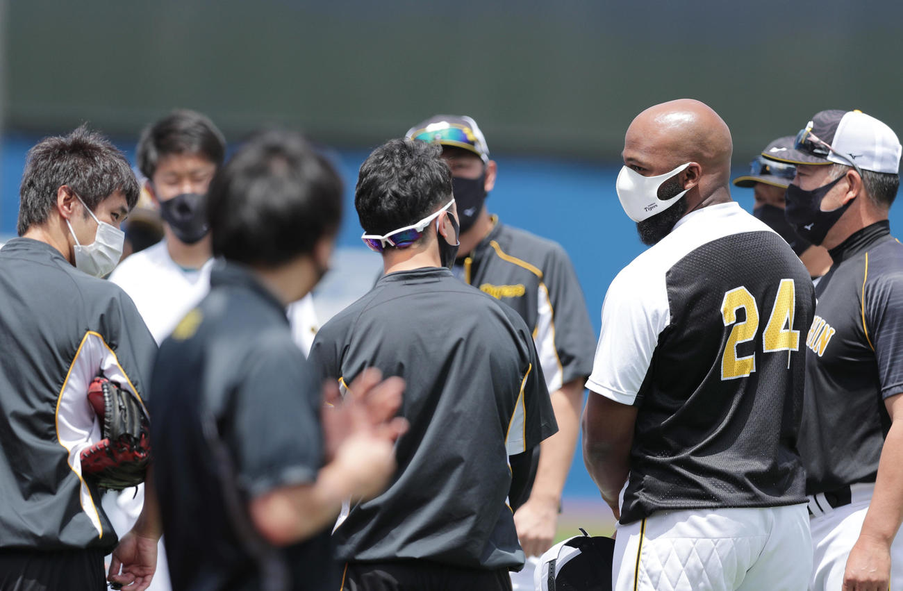 DeNA対阪神　1軍に合流し投手陣にあいさつする阪神ロハス・ジュニア（手前右から2人目）（撮影・前田充）