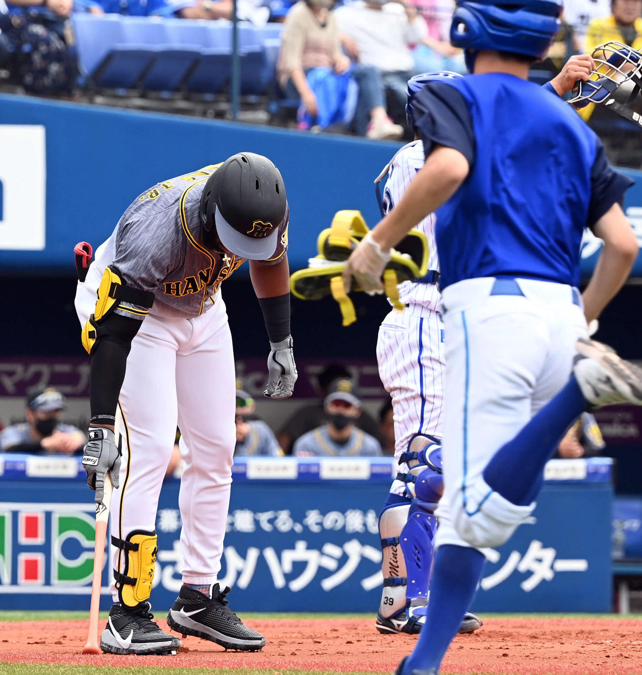DeNA対阪神　2回表、来日初打席でグラウンドに文字を書く阪神ロハス・ジュニア（撮影・たえ見朱実）