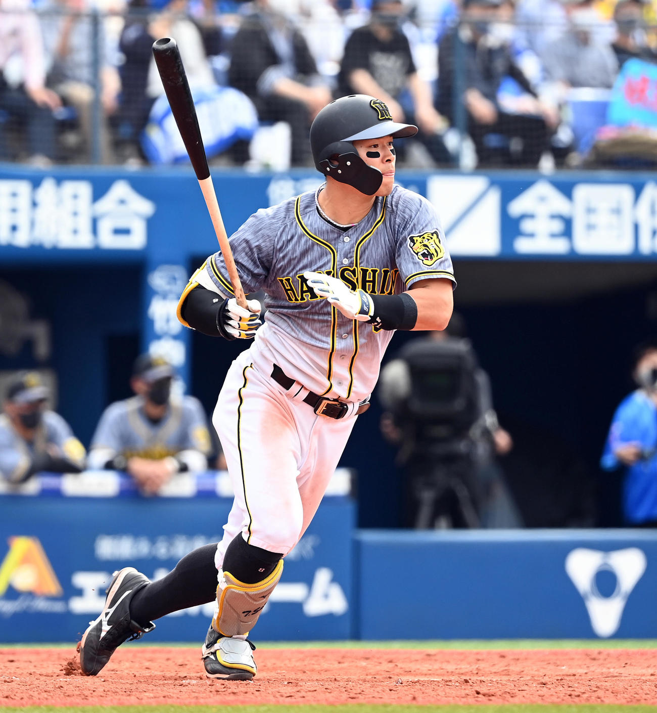 DeNA対阪神　5回表阪神2死一、二塁、右前に適時打を放つ佐藤輝（撮影・たえ見朱実）