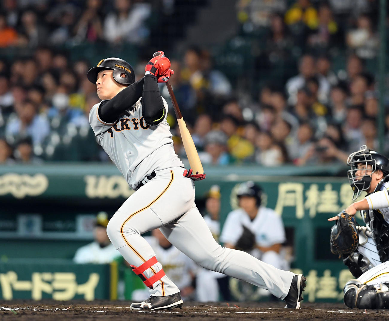 阪神対巨人　7回表巨人無死、左越えに32号ソロ本塁打を放つ岡本（2018年10月9日撮影）
