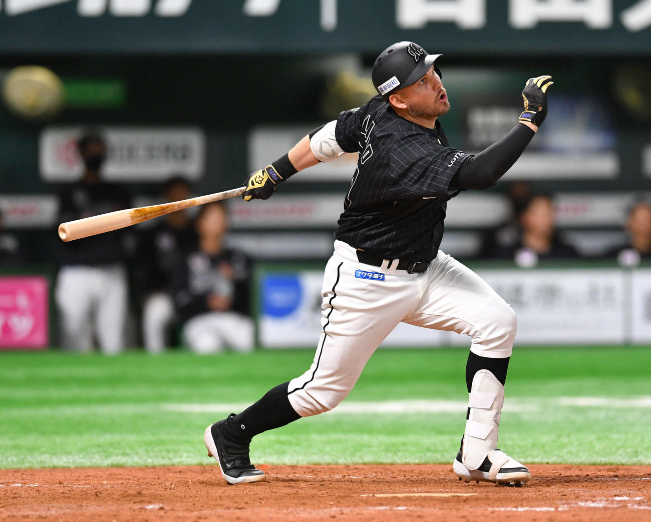 ソフトバンク対ロッテ　4回表ロッテ1死、右越え本塁打を放つレアード（撮影・岩下翔太）