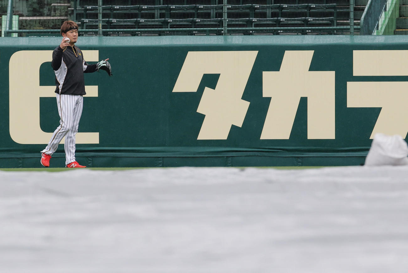 阪神対中日　雨のなかグラウンドでキャッチボールを行う西勇（撮影・清水貴仁）