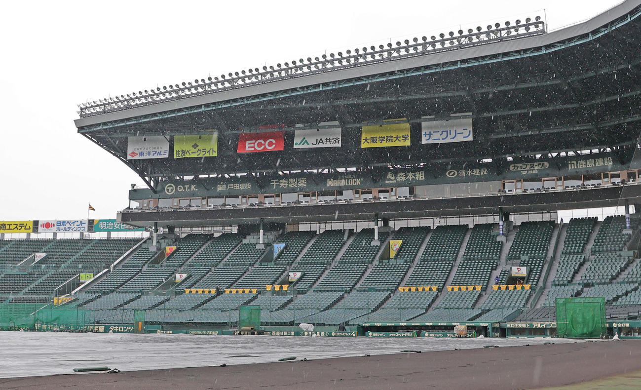 阪神対中日　雨でグラウンドにシートが敷かれる甲子園（撮影・清水貴仁）
