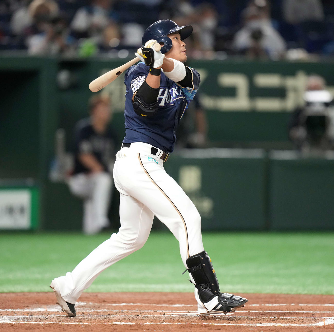 日本ハム対オリックス　2回裏日本ハム1死、先制の右越えソロ本塁打を放つ王柏融（撮影・鈴木みどり）