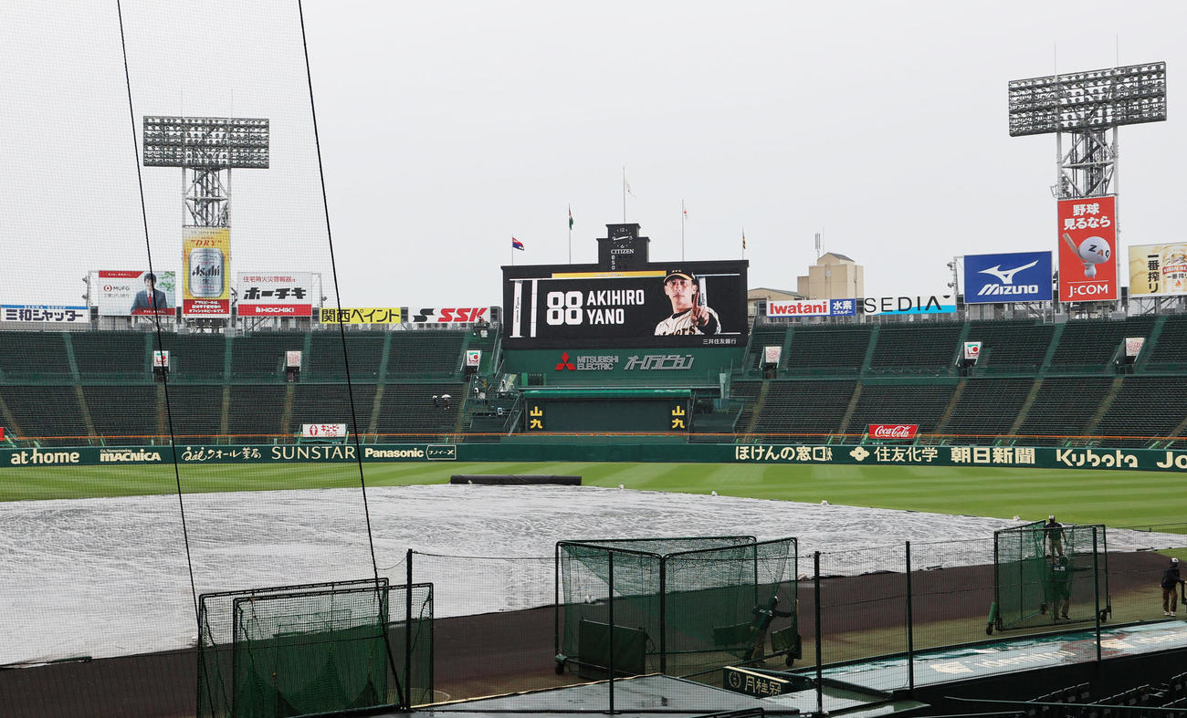 阪神対中日　雨でグラウンドにシートが敷かれる甲子園（撮影・清水貴仁）