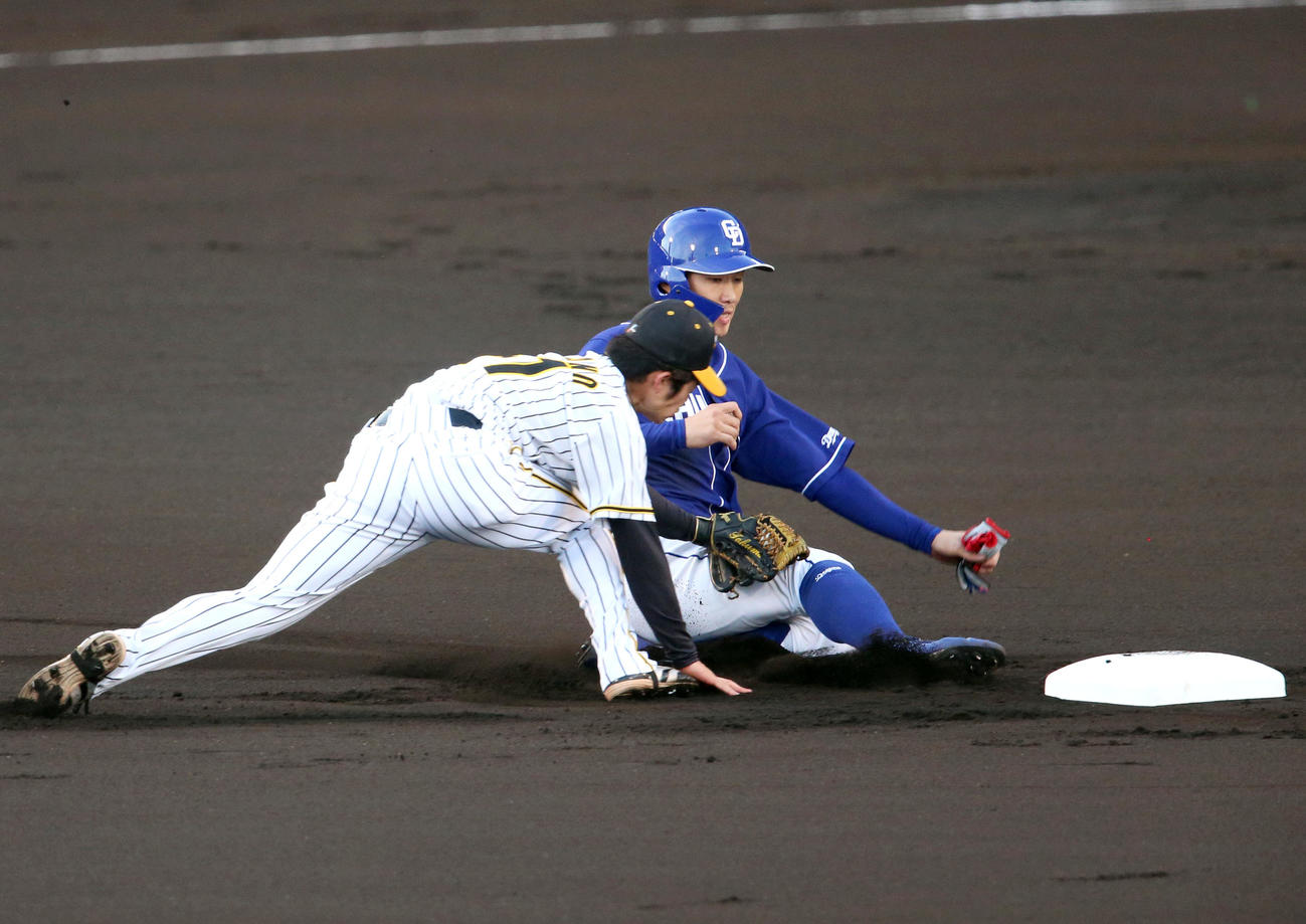 阪神対中日　1回表中日1死一塁、打者ガーバーの時に走った京田（右）を捕手梅野の送球でアウトにする遊撃手中野拓夢（撮影・上山淳一）
