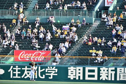 阪神対中日 ライトスタンドで応援する阪神ファン(撮影・上田博志)
