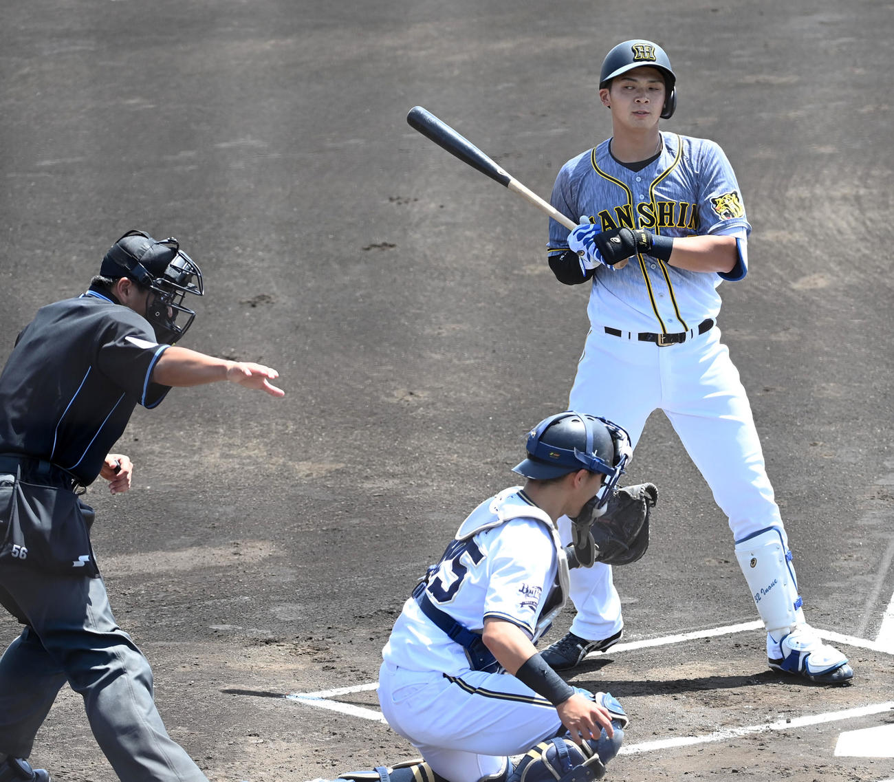 ウエスタン・リーグオリックス対阪神　1回表阪神1死一、二塁、井上は見逃しの三振に倒れる（撮影・前岡正明）
