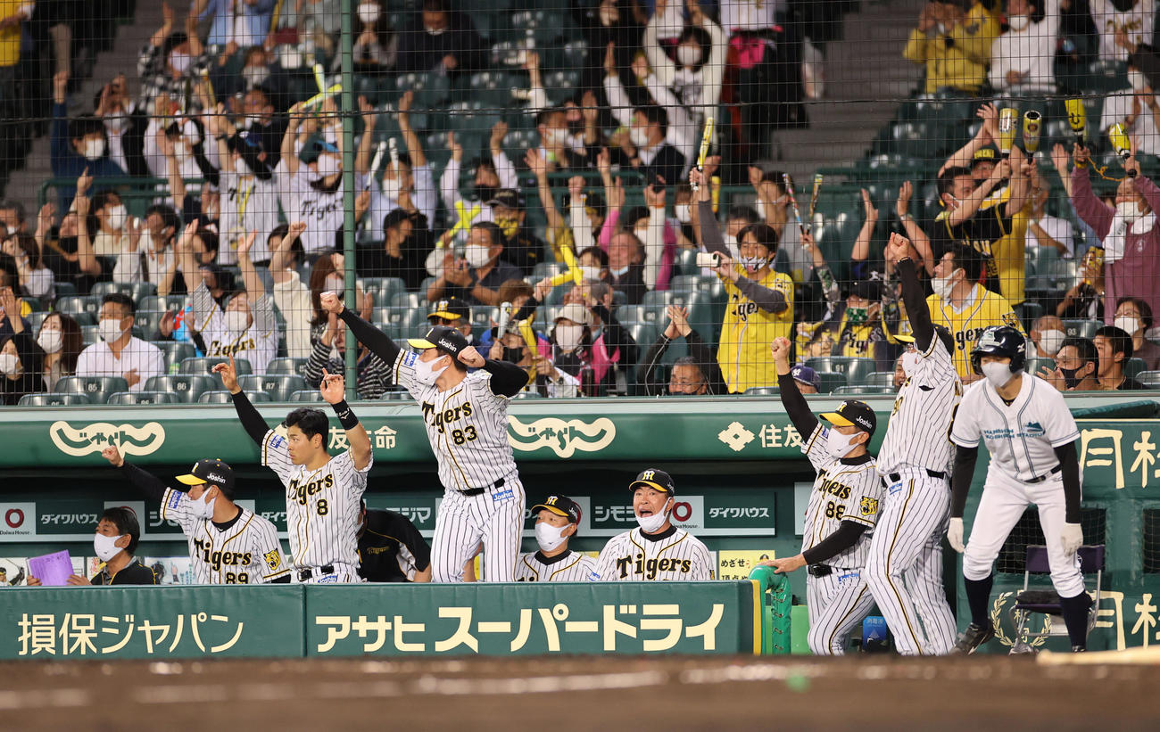 阪神対中日　8回裏阪神2死、サンズの左越え勝ち越し本塁打に歓喜する、矢野監督（右から3人目）ら阪神ナイン（撮影・清水貴仁）