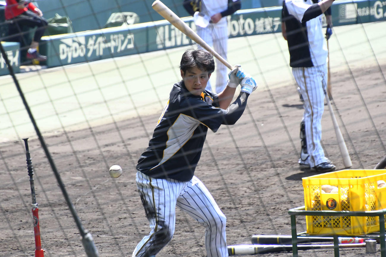 ウエスタン・リーグ広島戦　試合前練習から2軍に合流した阪神木浪（撮影・中野椋）