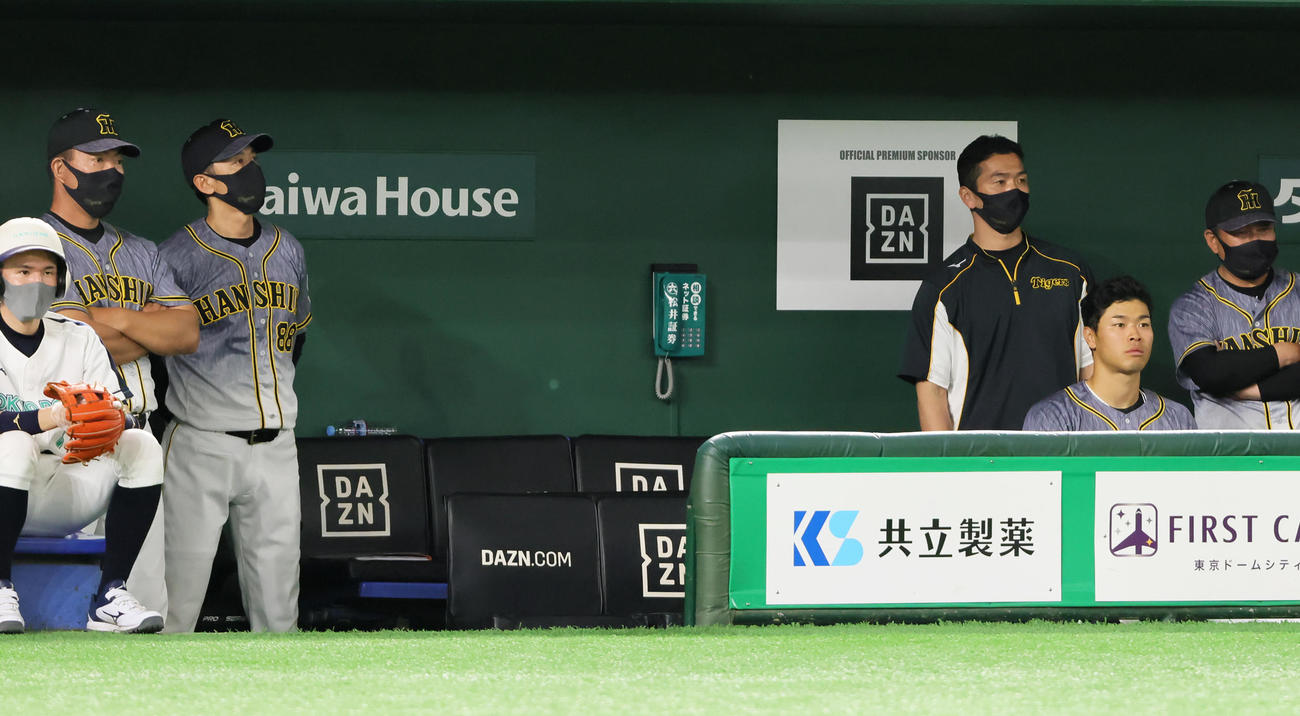 巨人対阪神　戦況を見つめる阪神矢野監督（左から2人目）。右から2人目は佐藤輝（撮影・足立雅史）