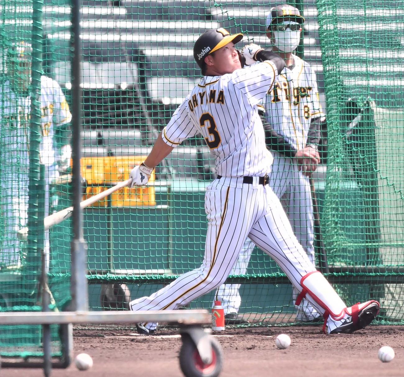 甲子園球場でフリー打撃練習をする大山（撮影・上田博志）