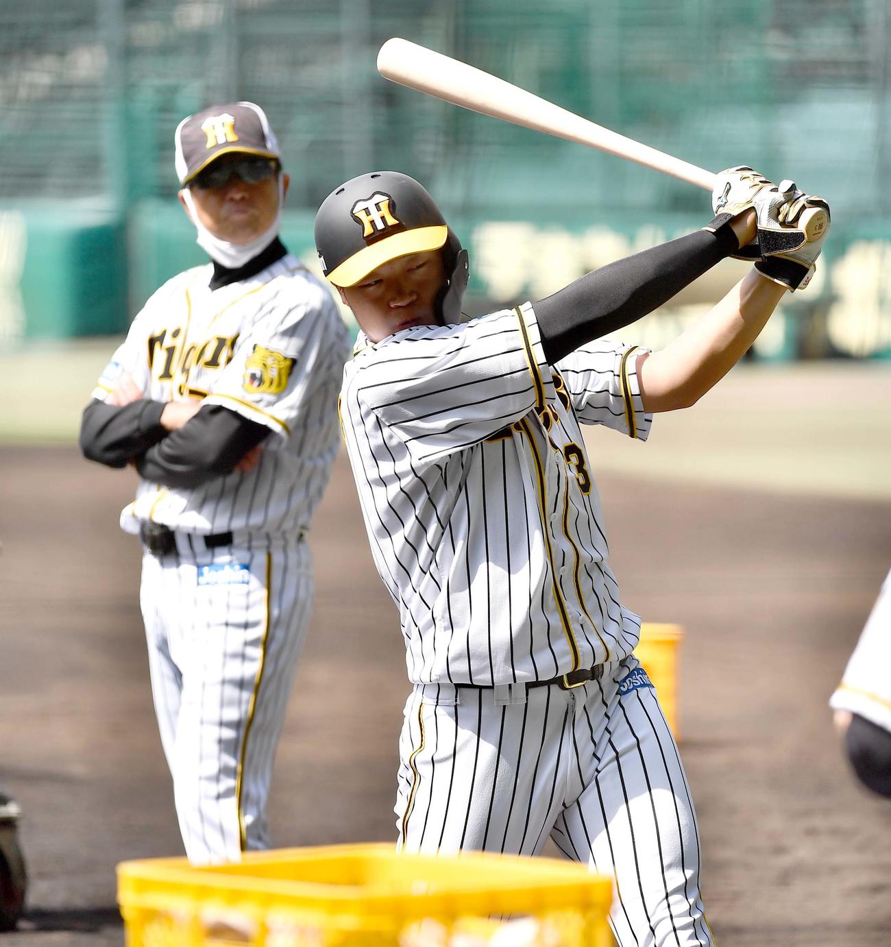 平田勝男2軍監督（左）のチェックを受けながら打撃練習をする大山悠輔（撮影・上田博志）