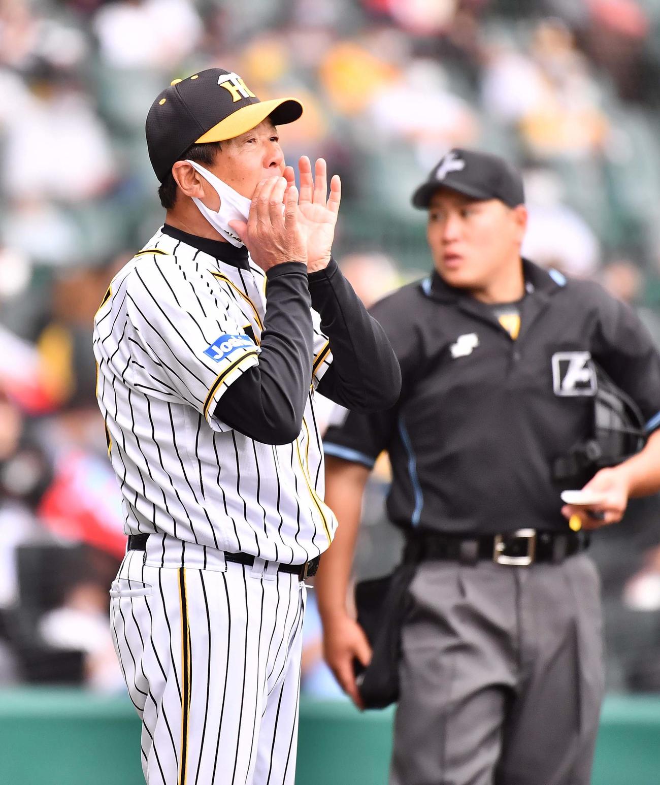 ウエスタン・リーグ阪神対広島　選手交代を告げる平田勝男2軍監督（撮影・上田博志）