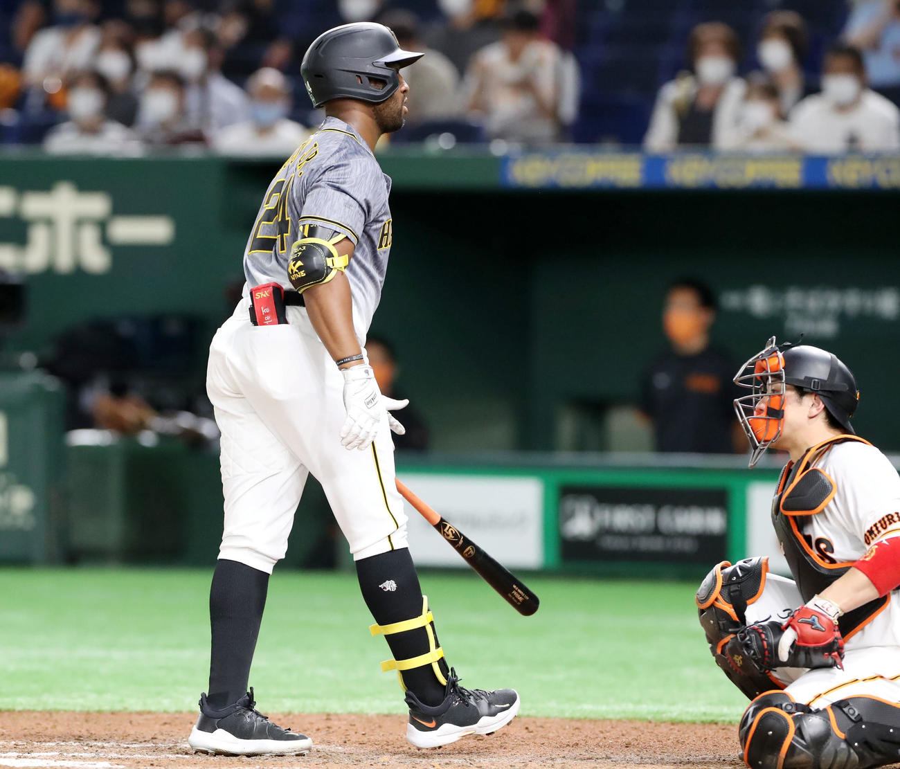 巨人対阪神　6回表阪神1死、ロハスは四球を選んで出塁する（撮影・加藤哉）