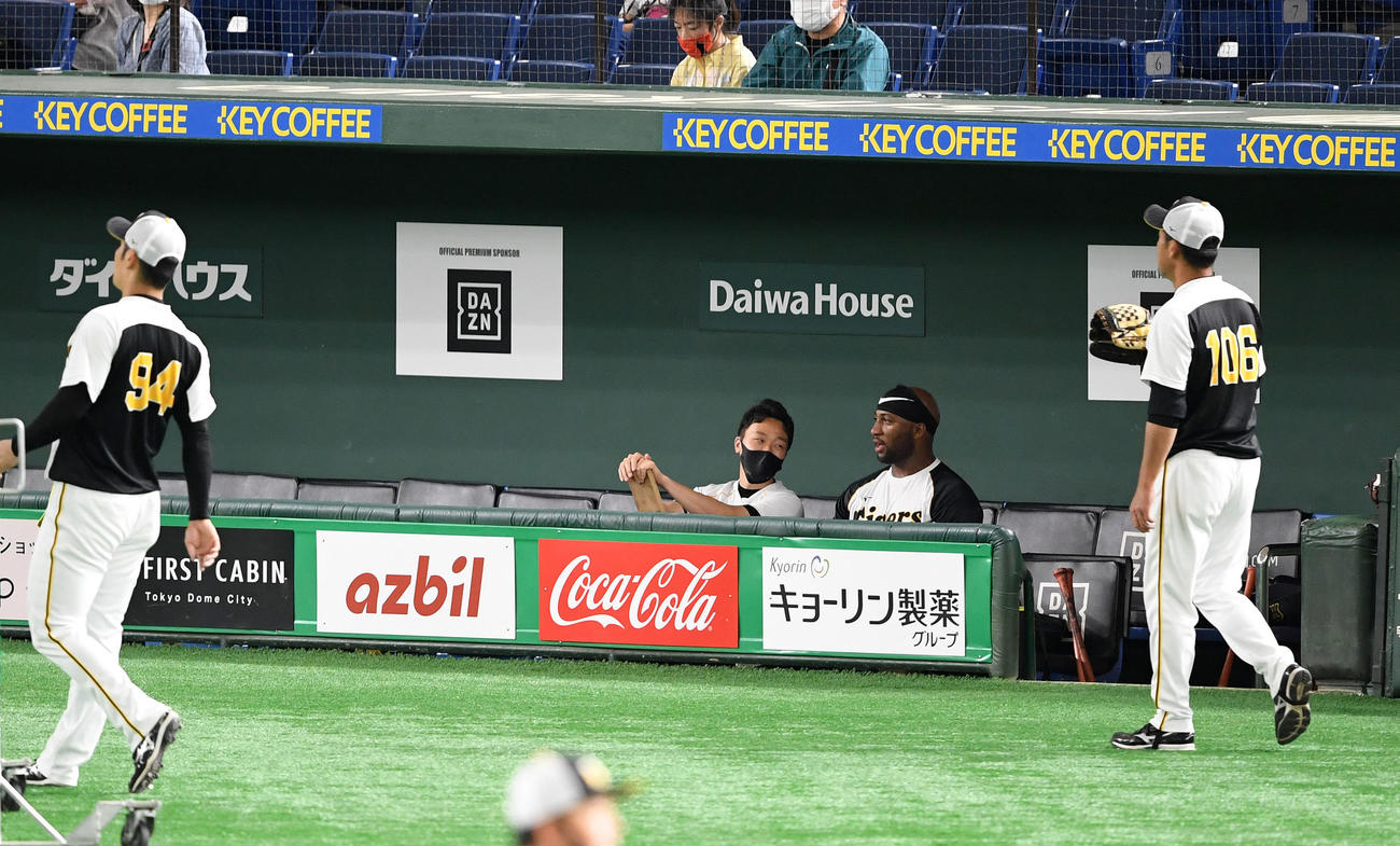 巨人対阪神　ベンチから練習を見つめる阪神ロハス（右から2人目）（撮影・横山健太）