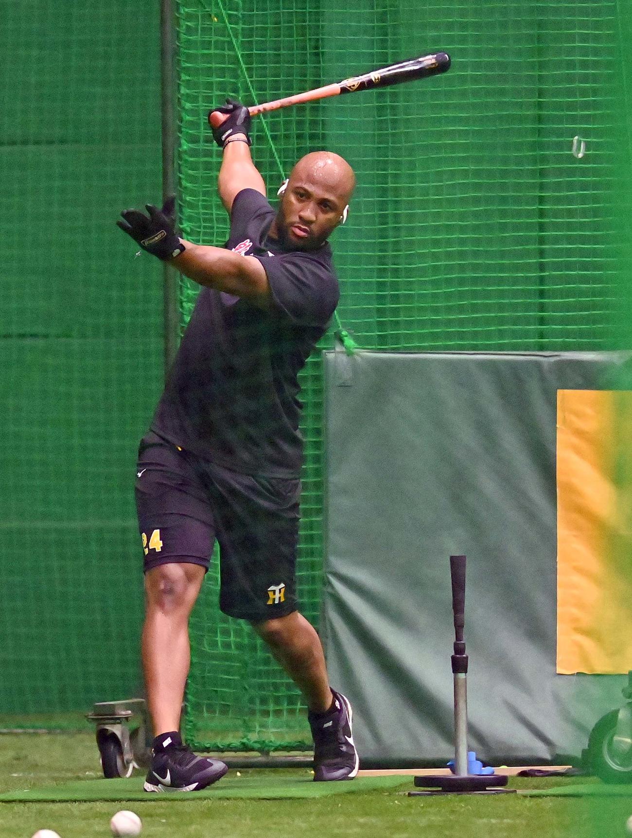 甲子園室内練習場で打撃練習するロハス・ジュニア（撮影・上田博志）