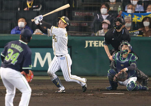 阪神対ヤクルト 5回裏阪神1死、近本は先制の右越え本塁打を放つ(撮影・上山淳一)