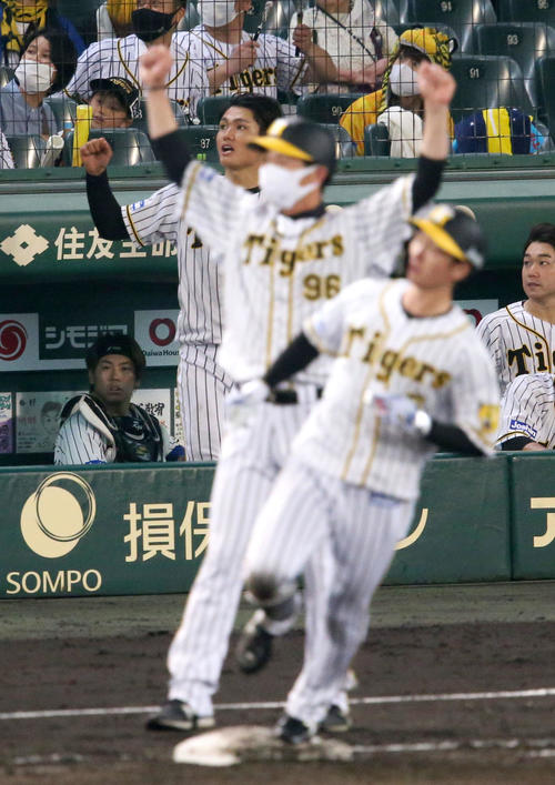 阪神対ヤクルト 5回裏阪神1死、西純(左から2人目)は近本(手前)の右越え本塁打にガッツポーズする(撮影・上山淳一)