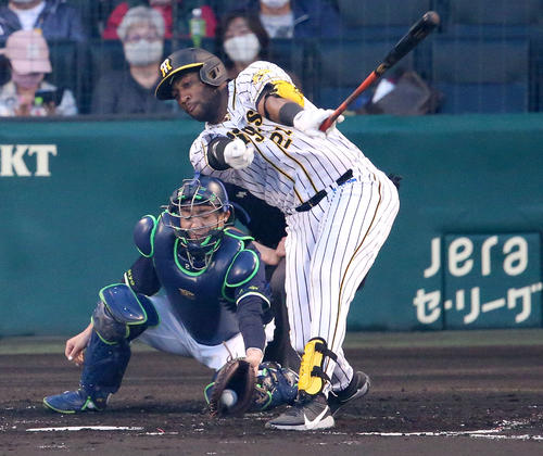 阪神対ヤクルト 1回裏阪神2死満塁、ロハス・ジュニアは空振り三振に終わる(撮影・上山淳一)