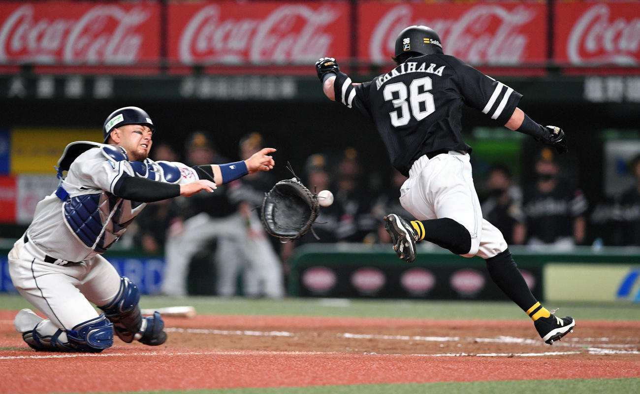 西武対ソフトバンク　9回表ソフトバンク1死三塁、代打長谷川の左犠飛から捕手森をかわし生還する代走牧原大（撮影・滝沢徹郎）