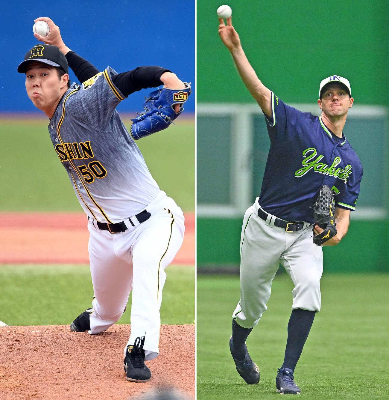 阪神青柳（左）とヤクルト・バンデンハーク