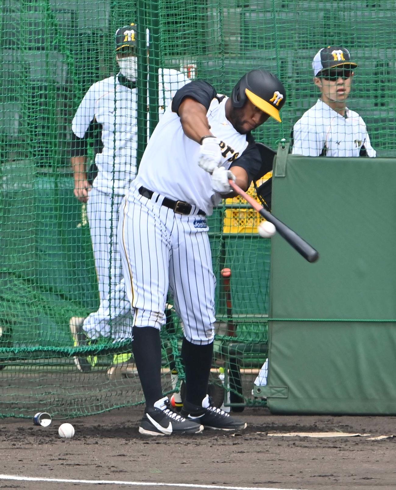 ノーステップで打撃練習をするロハス・ジュニア（撮影・上田博志）