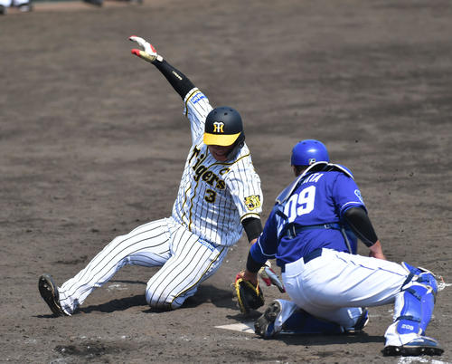 阪神大山２軍戦で走攻守万全アピール あとは１軍の判断 平田監督は太鼓判 プロ野球 日刊スポーツ