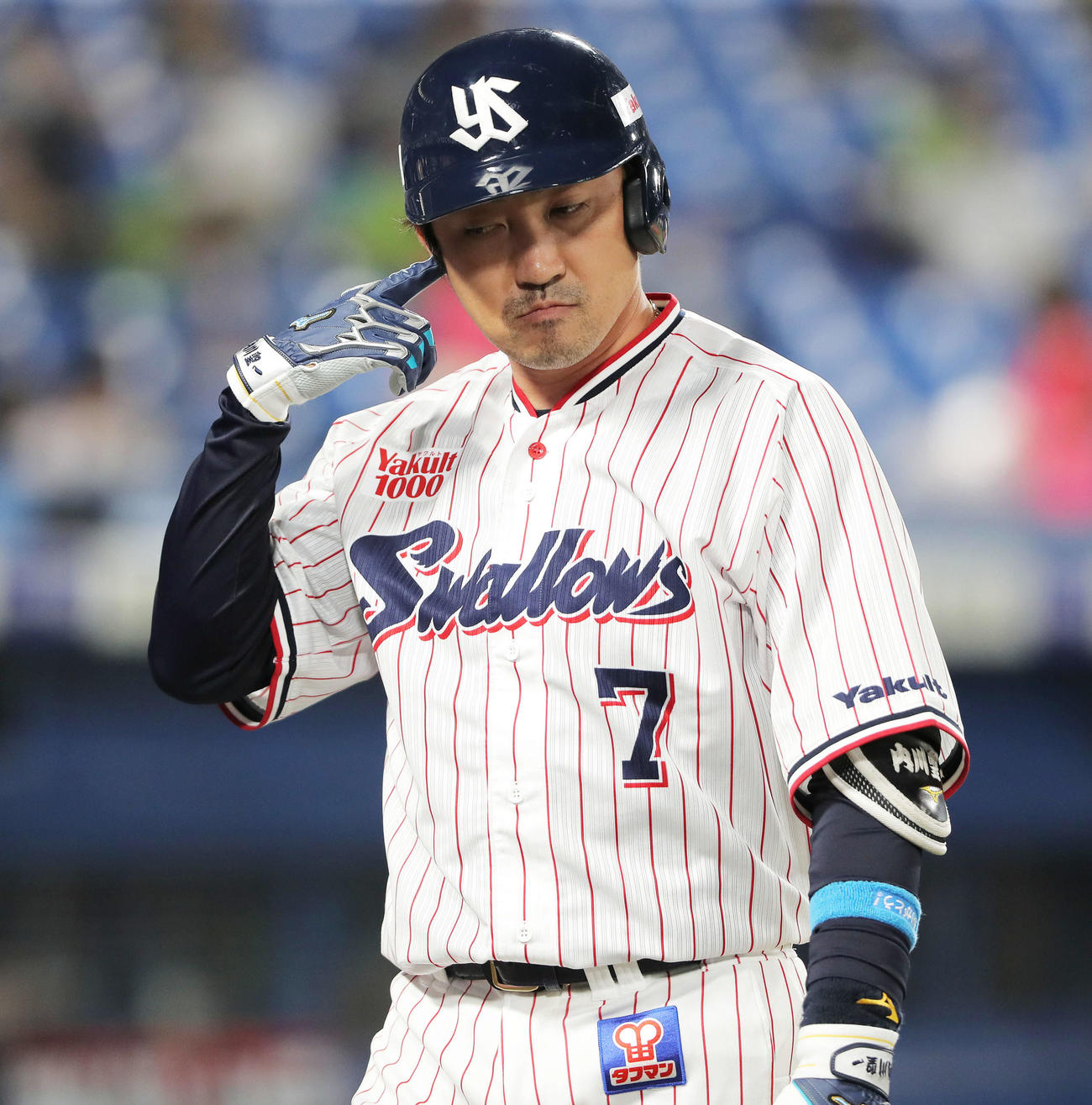 ヤクルト対日本ハム　7回裏ヤクルト2死、三振に倒れる内川（撮影・河田真司）