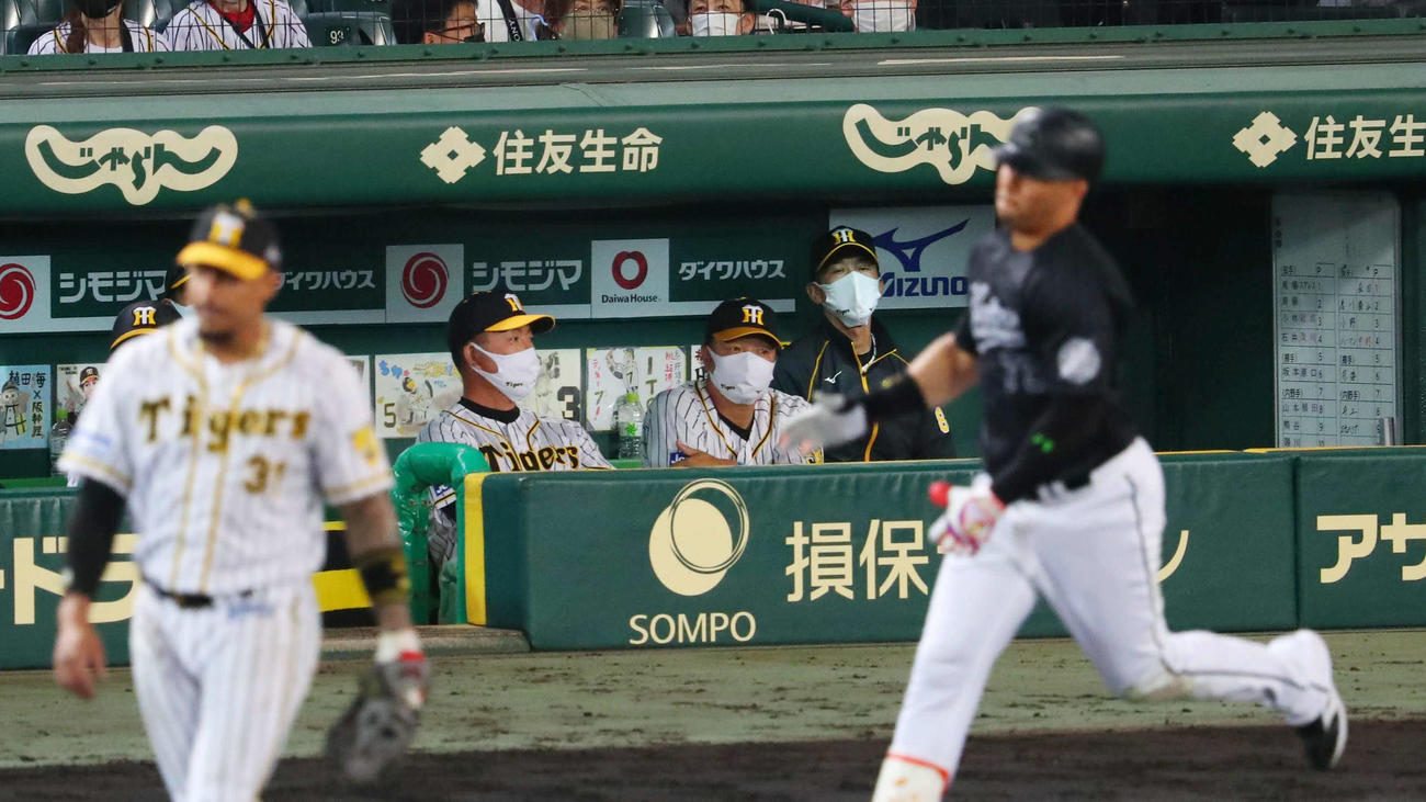 阪神対ロッテ　8回表ロッテ無死一塁、矢野監督（ベンチ内右端）はマーティンに右越え逆転2点本塁打を浴びる（撮影・宮崎幸一）