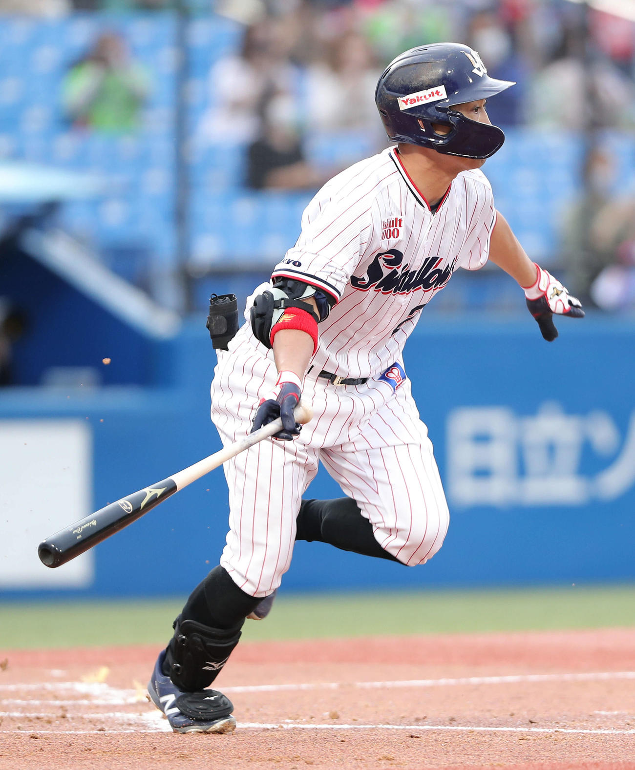 ヤクルト対日本ハム　1回裏ヤクルト2死、右前打を放ち、日米通算2500安打を達成するヤクルト青木（撮影・河田真司）