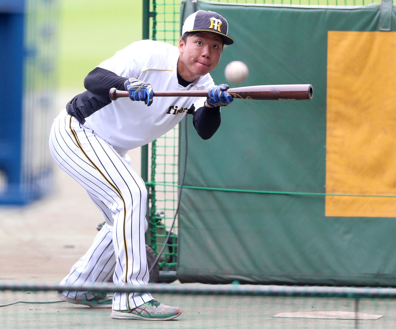 1軍に合流しバント練習する村上（撮影・上山淳一）