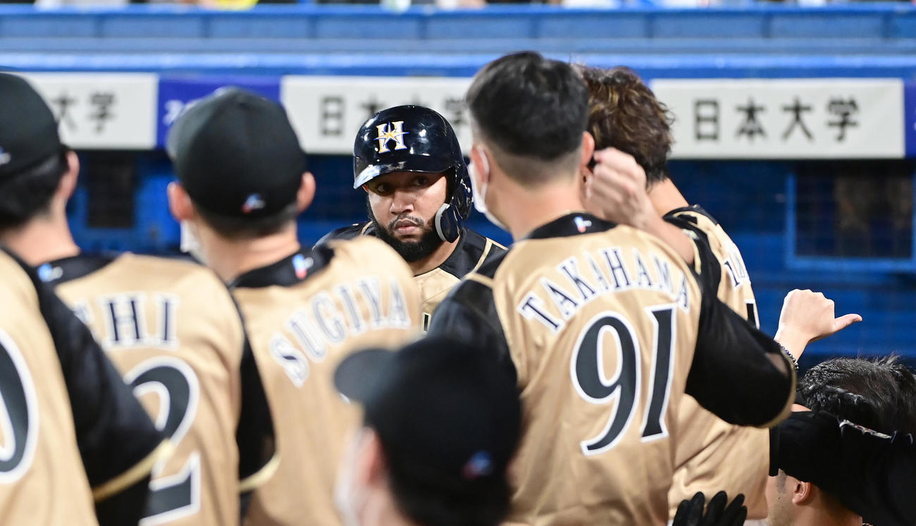 ヤクルト対日本ハム　6回表日本ハム1死、R・ロドリゲス（中央）は左越えにソロ本塁打を放ちベンチのナインの祝福を受ける（撮影・小沢裕）