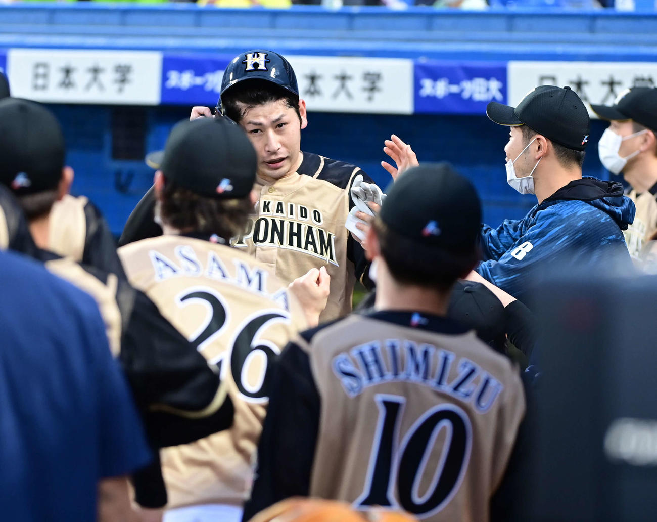 ヤクルト対日本ハム　3回表日本ハム2死一、二塁、渡辺の右前適時打で生還した加藤（中央）はベンチのナインの祝福を受ける（撮影・小沢裕）