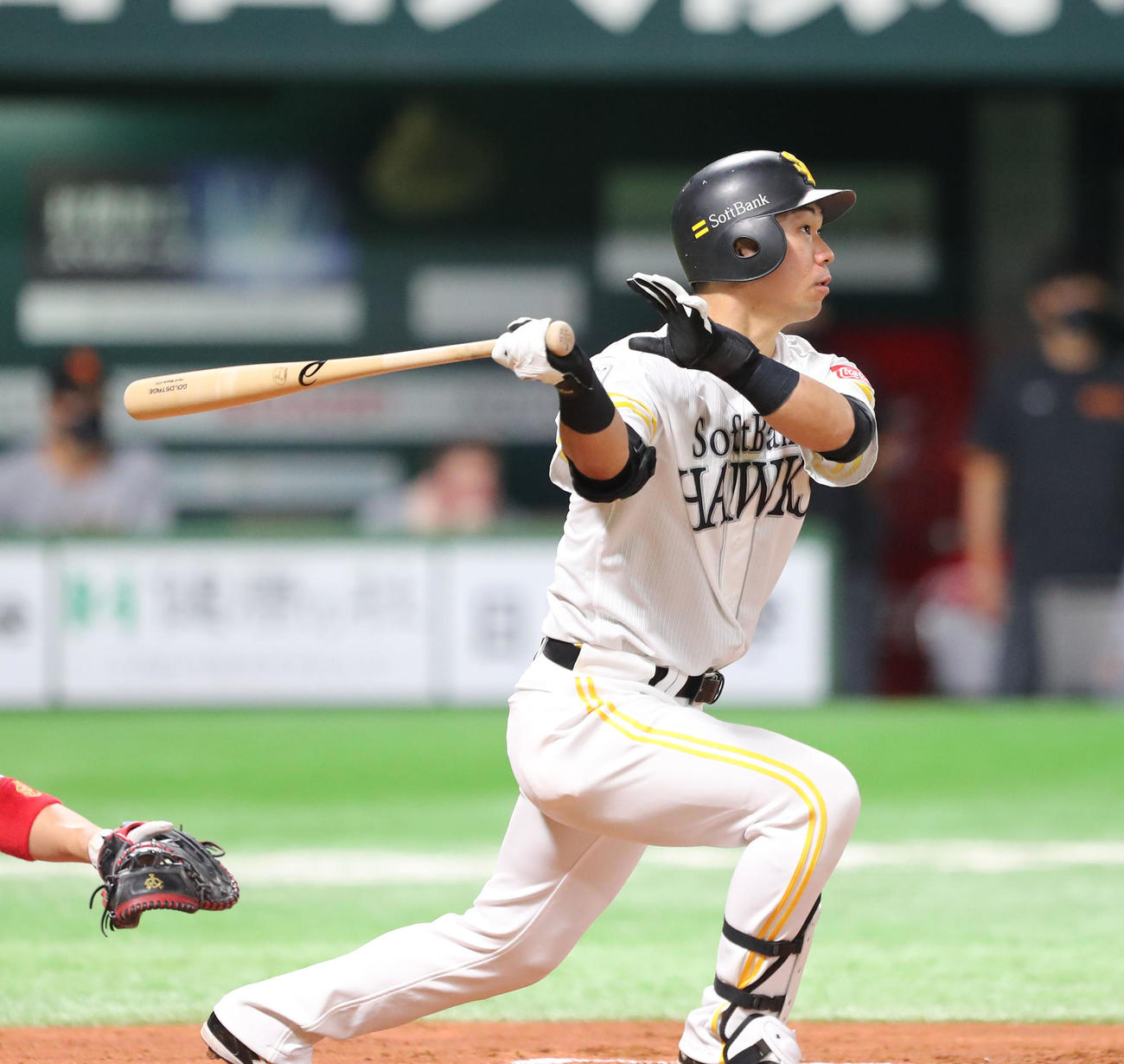 ソフトバンク対巨人　2回裏ソフトバンク無死、長谷川は右越えに本塁打を放つ（撮影・梅根麻紀）