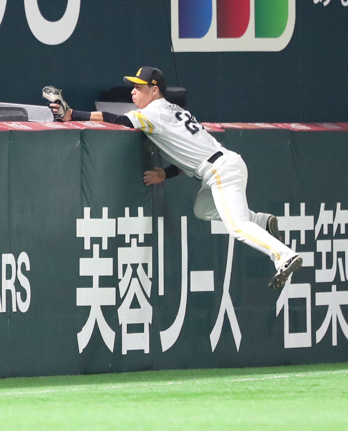 ソフトバンク対巨人　5回表巨人2死二塁、松原の打球を好捕する左翼手の長谷川（撮影・梅根麻紀）
