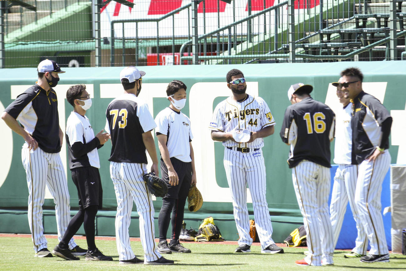 指名練習でリラックスした表情の投手陣（撮影・上山淳一）