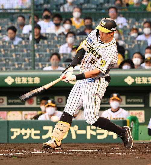 阪神対オリックス　2回裏阪神1死、佐藤輝は空振りの三振に倒れる（撮影・前岡正明）